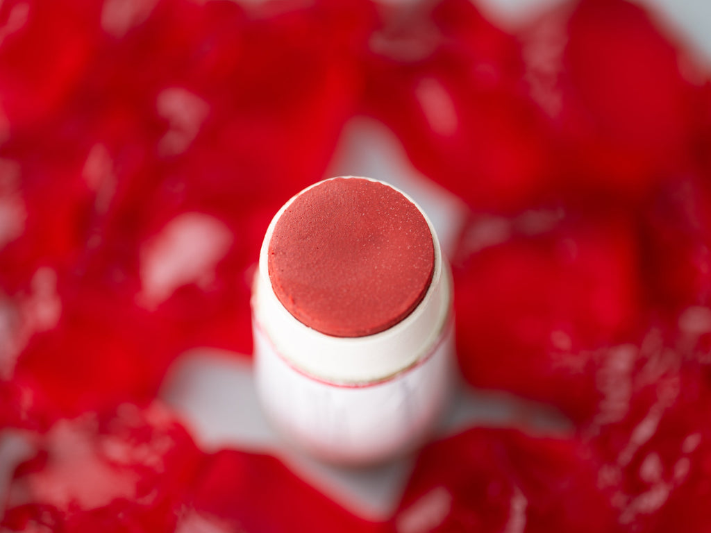 Tinted Lip Balm-1